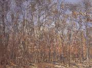 Ferdinand Hodler The Beech Forest (nn02) painting